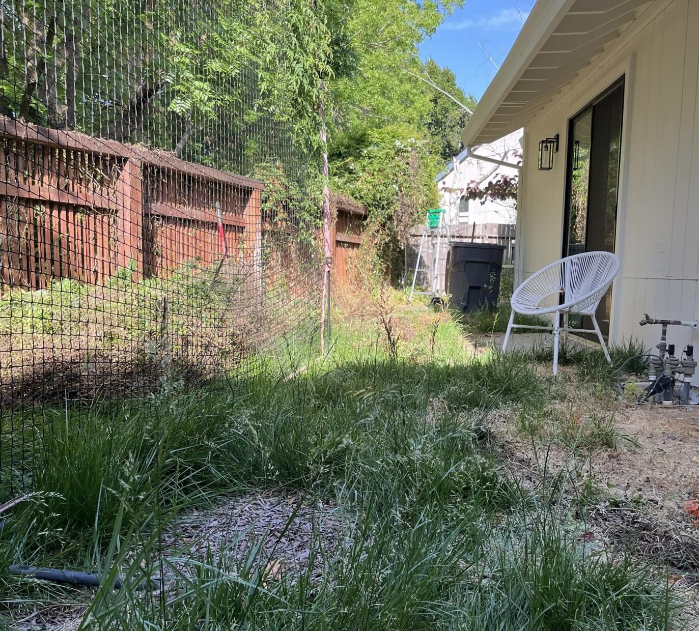 Before landscape renovation