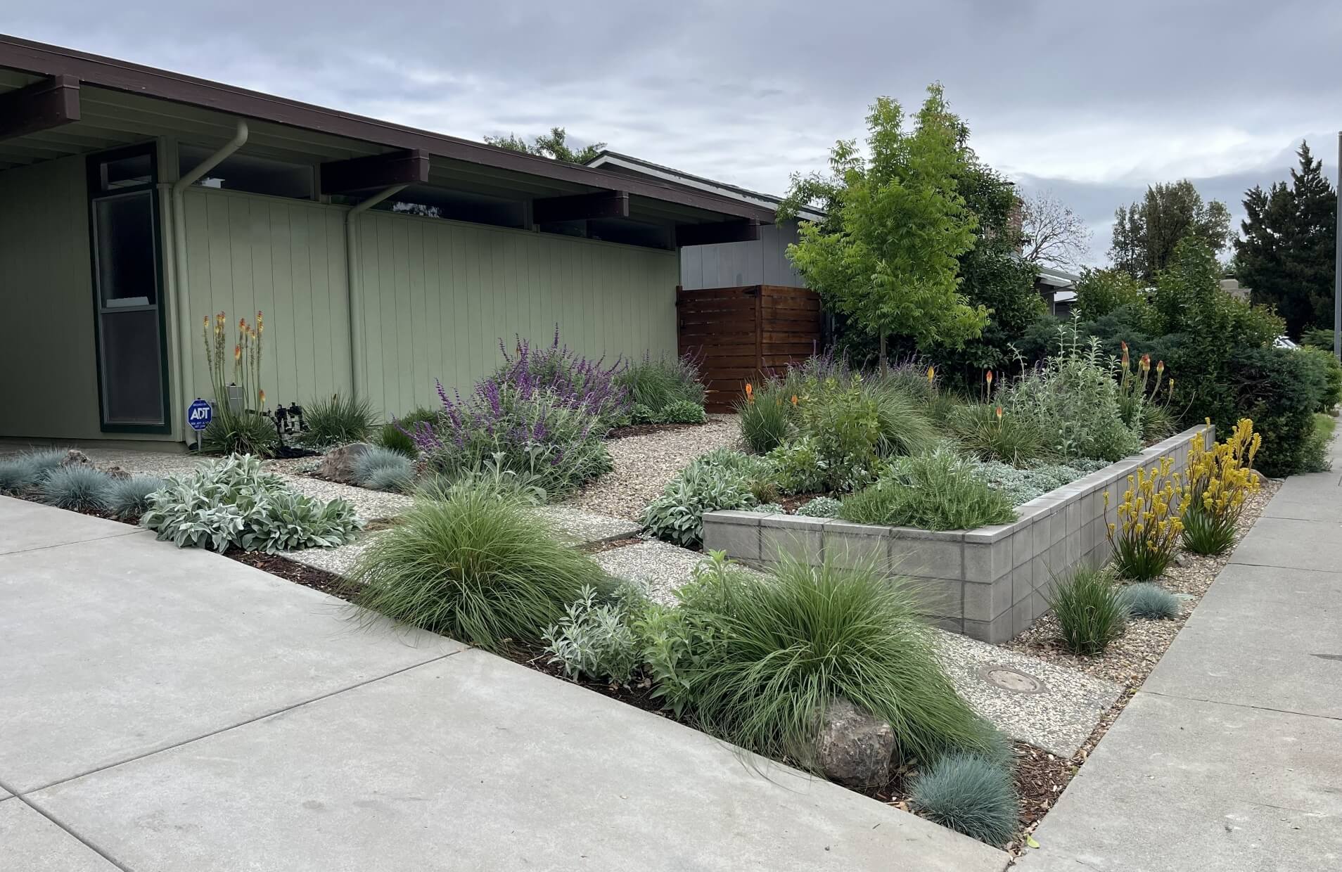 After landscape renovation