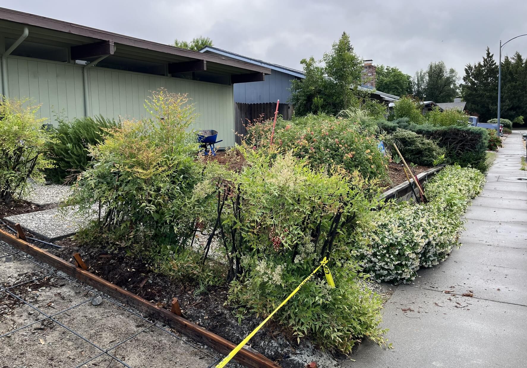 Before landscape renovation