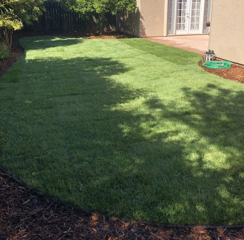 Lawn Renovation with Sod Installation