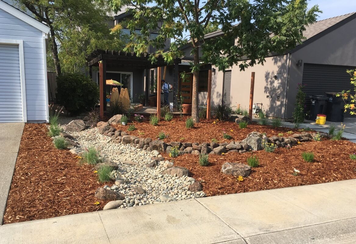 Redesigned front yard